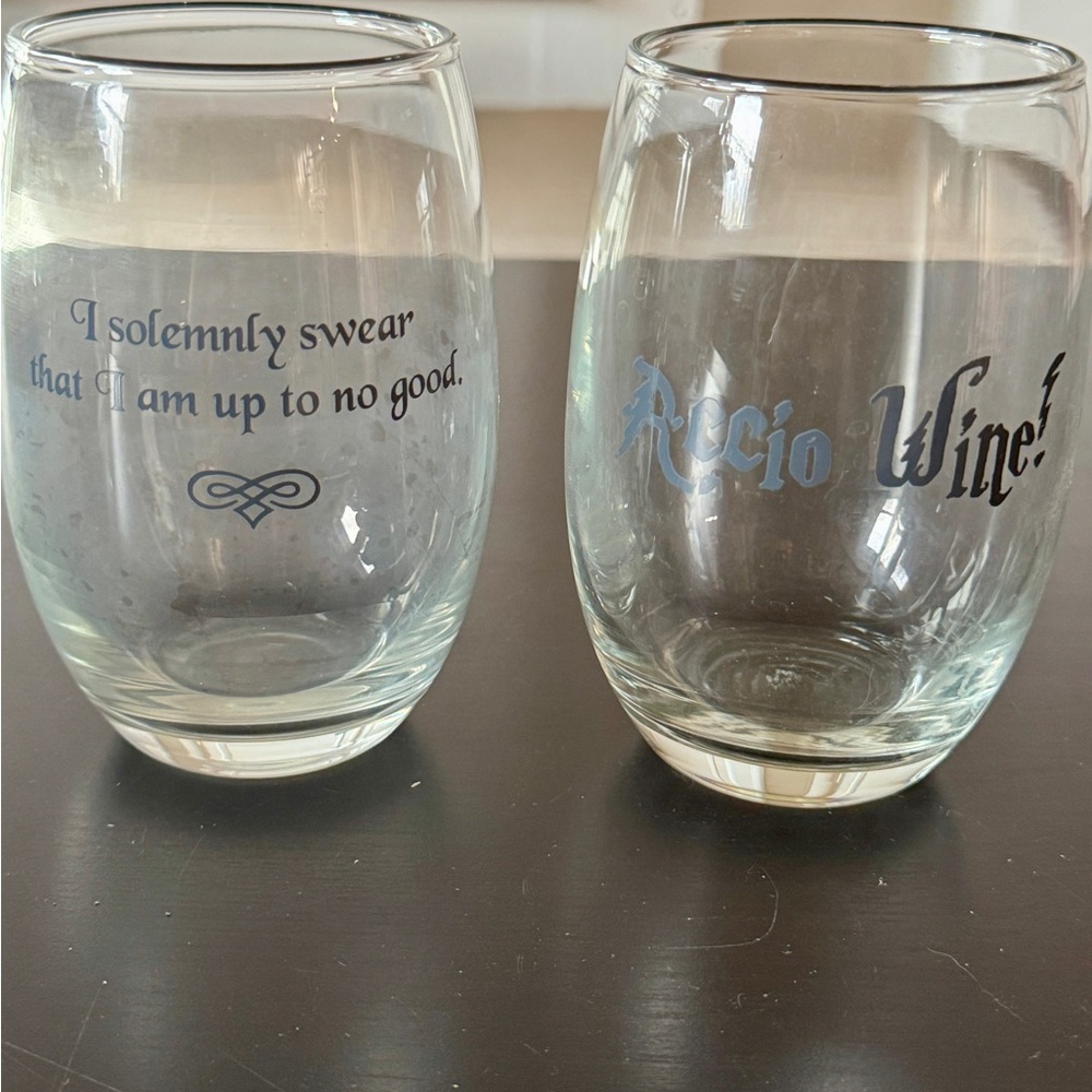 Harry Potter Wine Glasses